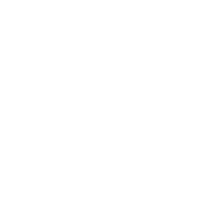 ø